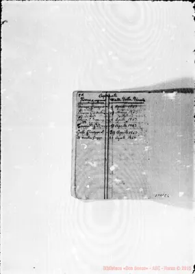 Fotogramma C 6