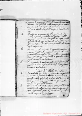 Fotogramma C 6