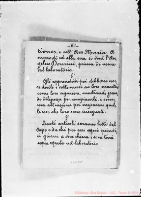 Fotogramma D 11