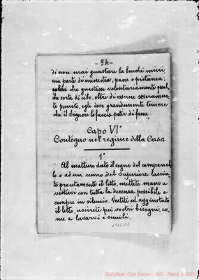 Fotogramma B 8