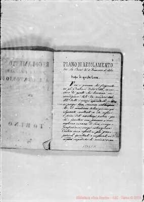 Fotogramma C 11