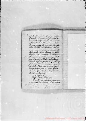 Fotogramma C 12