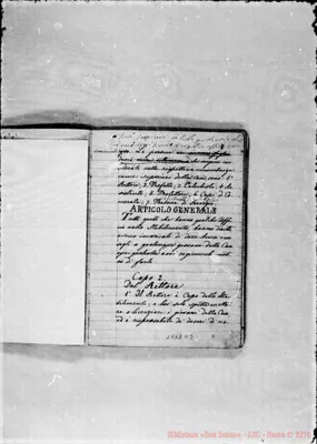 Fotogramma D 3