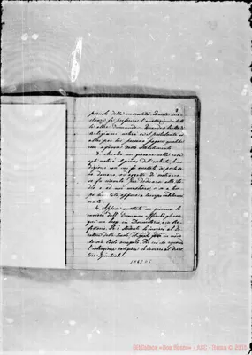 Fotogramma D 5
