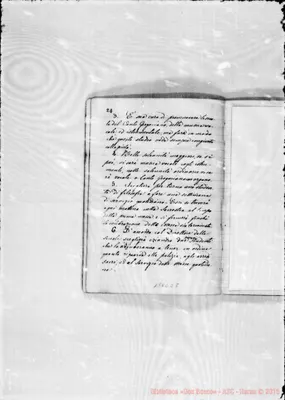 Fotogramma E 8
