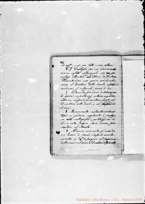 Fotogramma B 6