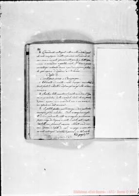 Fotogramma C 6