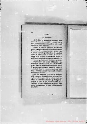 Fotogramma B 8