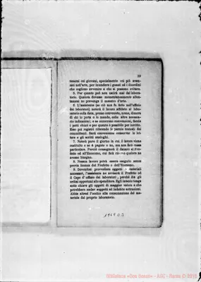 Fotogramma D 3