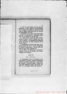 Fotogramma D 11