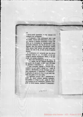 Fotogramma E 8