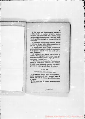 Fotogramma B 8