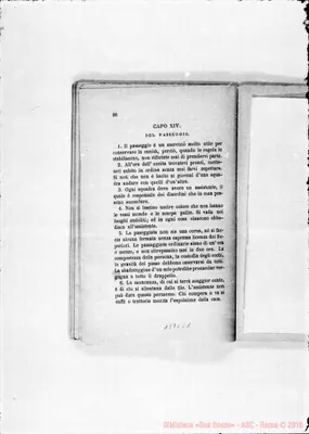 Fotogramma C 1