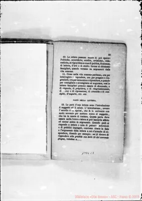 Fotogramma C 7
