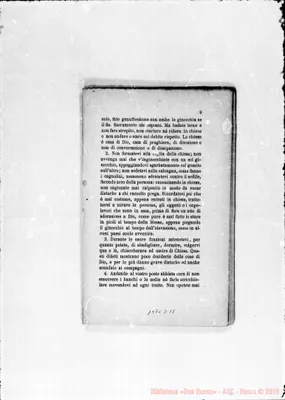 Fotogramma D 11