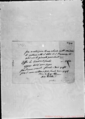 Fotogramma C 11