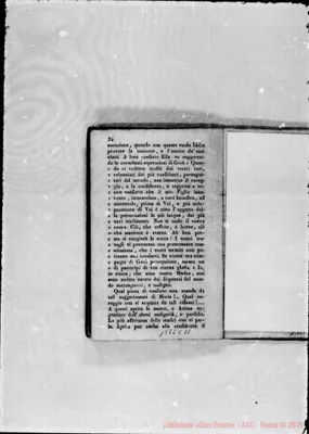 Fotogramma C 11