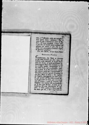 Fotogramma D 2
