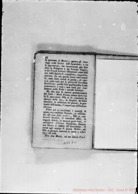 Fotogramma D 11