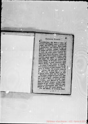 Fotogramma D 12