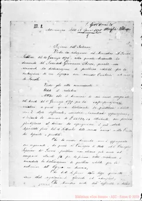 Fotogramma D 11