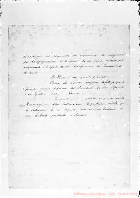 Fotogramma D 12
