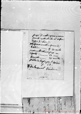 Fotogramma C 12