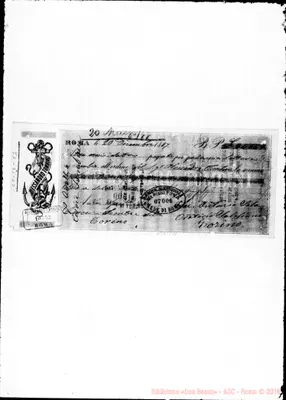 Fotogramma C 11