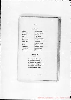 Fotogramma A 12