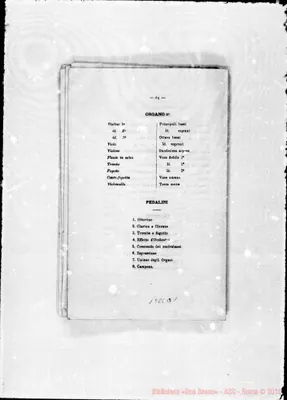 Fotogramma B 1