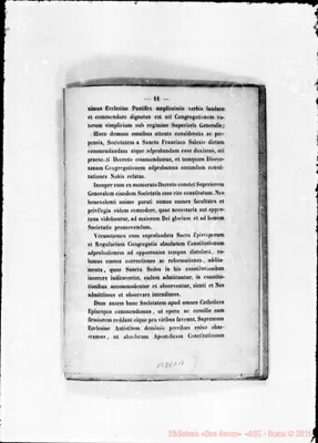 Fotogramma D 11