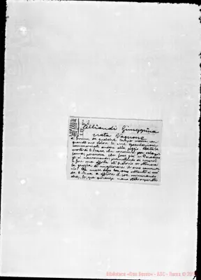 Fotogramma C 6