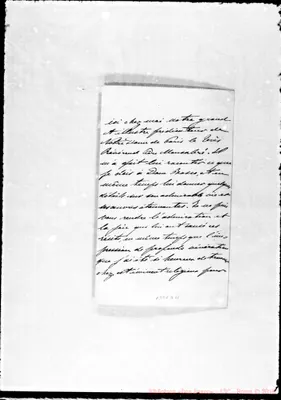 Fotogramma D 11