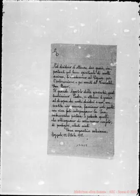 Fotogramma C 7