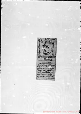 Fotogramma C 8