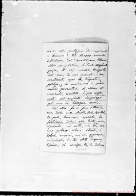 Fotogramma E 9