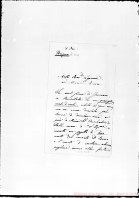 Fotogramma D 11