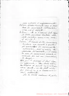 Fotogramma E 8