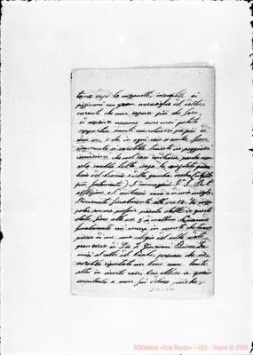 Fotogramma C 11