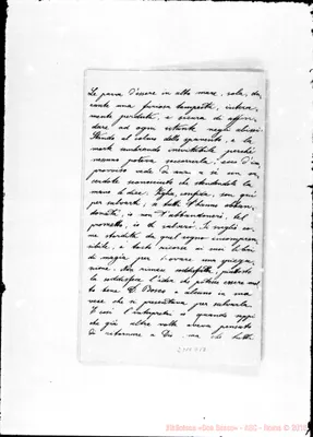 Fotogramma D 12