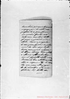 Fotogramma C 2