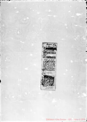 Fotogramma C 8