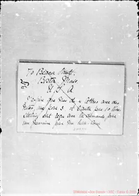 Fotogramma D 12