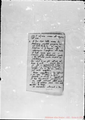 Fotogramma C 7