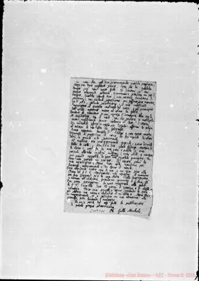 Fotogramma C 11
