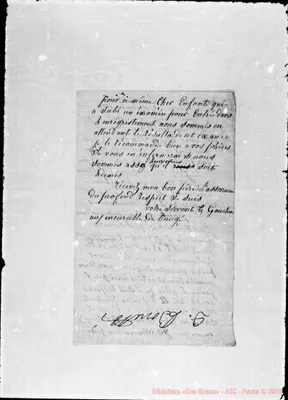 Fotogramma C 11