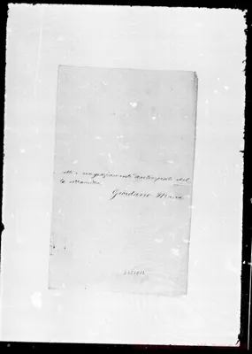Fotogramma E 12