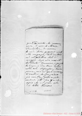 Fotogramma D 4