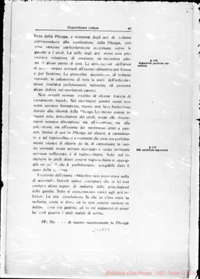 Fotogramma E 9