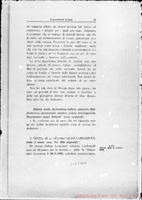Fotogramma B 11